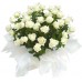 Букет из белых роз 25 шт. высота 50-60см.