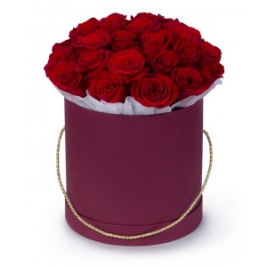 Красные розы 51 шт в подарочной коробке!