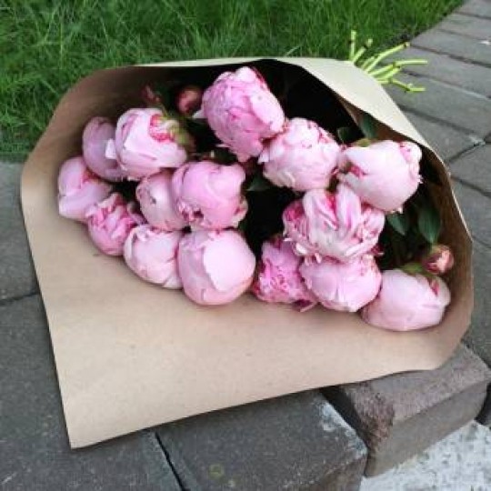 Букет из розовых пионов 9 шт
