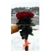 Букет из красных роз 19 шт ( 70-80 см)