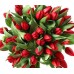 Тюльпан (красный)