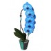 Голубая, Синяя Орхидея Каскад