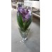 Орхидея Ванда фиолетового цвета (70см.)